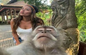 Ubud Village and Monkey Forest Tour