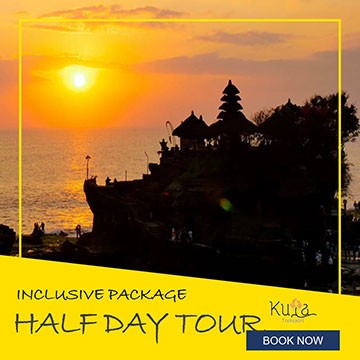 Half Day Tour - Bali Private Tour