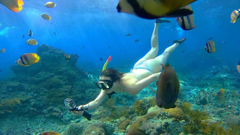 The Best Snorkeling Spots in Bali and Nusa Penida